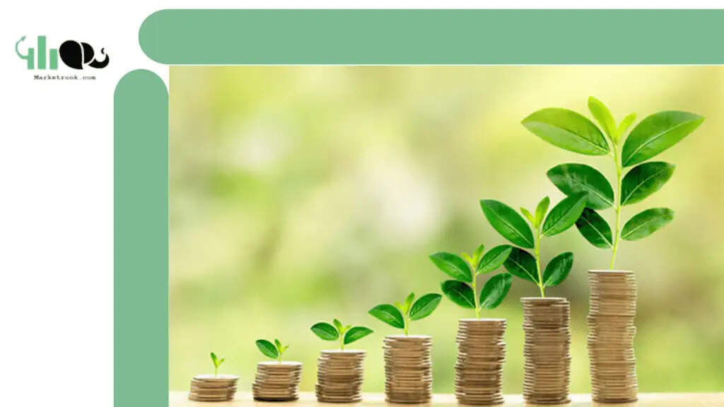 What Is Equity Share Capital In Hindi
