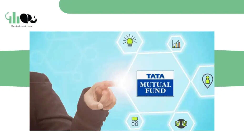 <strong>Tata Young Citizens' Fund NAV</strong>