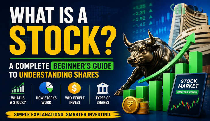 What Is a Stock